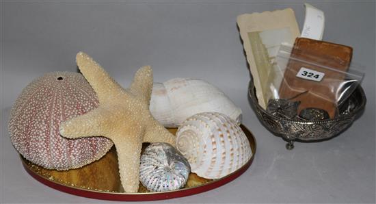 A miniature leather bound book, shells etc